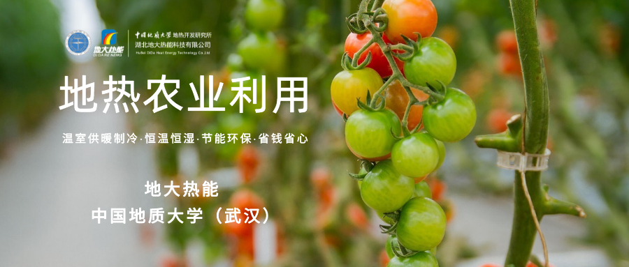 利用地?zé)峤鉀Q糧食生產(chǎn)問題并促進發(fā)展-地?zé)豳Y源開發(fā)利用-地大熱能 利用地?zé)峤鉀Q糧食生產(chǎn)問題并促進發(fā)展-地?zé)豳Y源開發(fā)利用-地大熱能